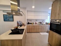 Signature Park (D21), Condominium #501777681